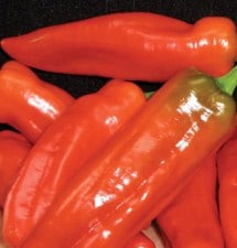 carmen red pepper