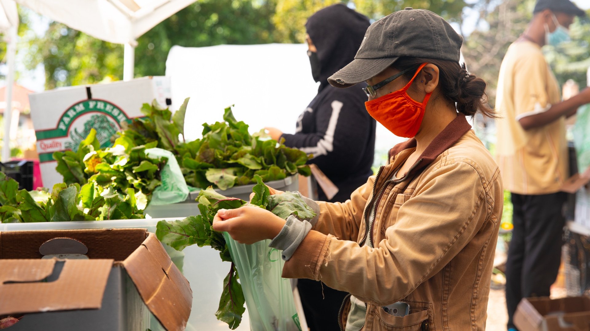 Market Box deliveries being prepped by volunteers. The program has worked with more than two dozen small farms and served more than 750 households. (Davon Clark)