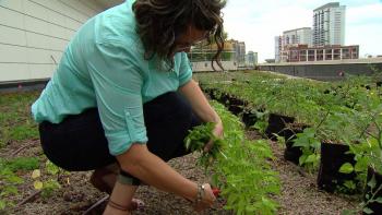 For Angela Mason, this rooftop garden is in some ways a trial for projects to come. Along with the crew, she’s experimenting daily with different crops and soil amendments in order to tap into the garden’s highest potential.