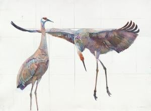 Cranes 2 by Peggy Macnamara. Click image to view photo gallery.