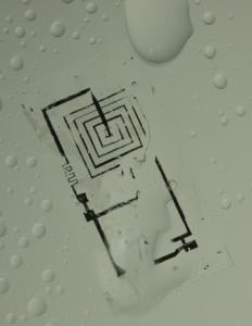 A biodegradable integrated circuit during dissolution in water; Photo courtesy Beckman Institute, University of Illinois and Tufts University
