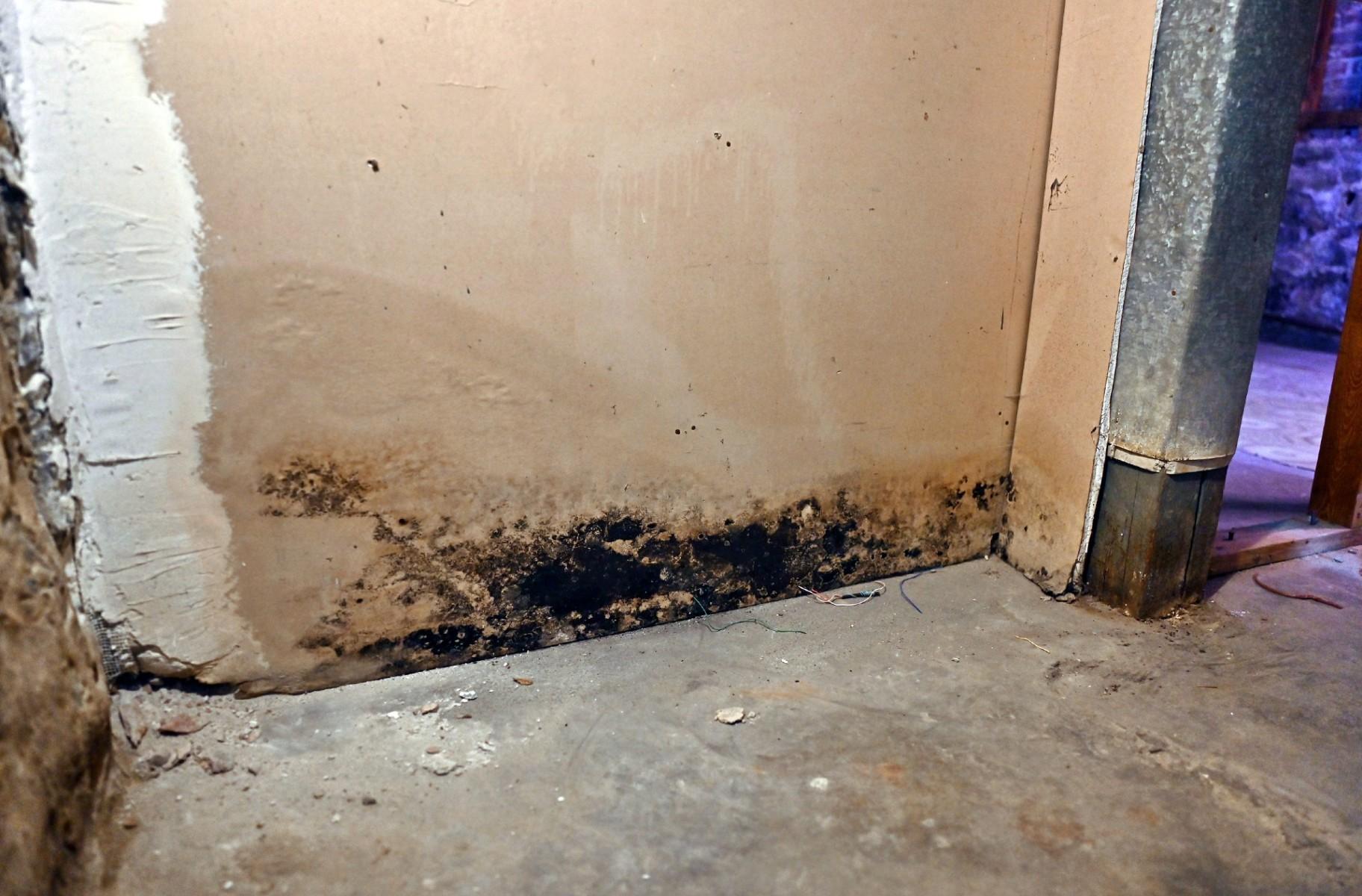 Black mold can be seen throughout Mary Buchanan's basement almost a year after her home was flooded. March 21, 2024. (Victor Hilitski / Illinois Answers Project)