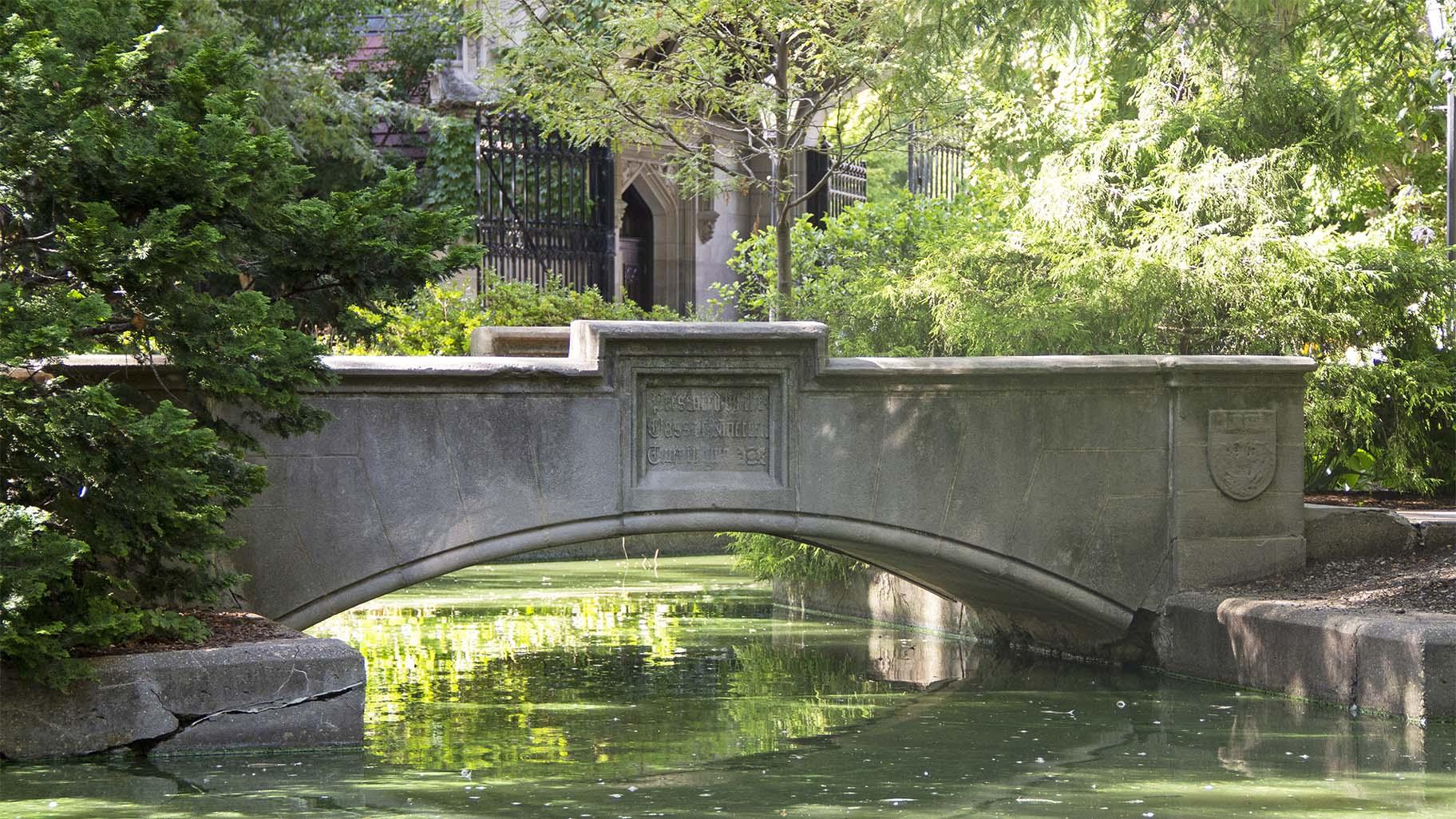 The Botany Pond is part of the botanical gardens in the Hull Court biology quadrangle at the University of Chicago. (Credit: Jessica Mlinaric)
