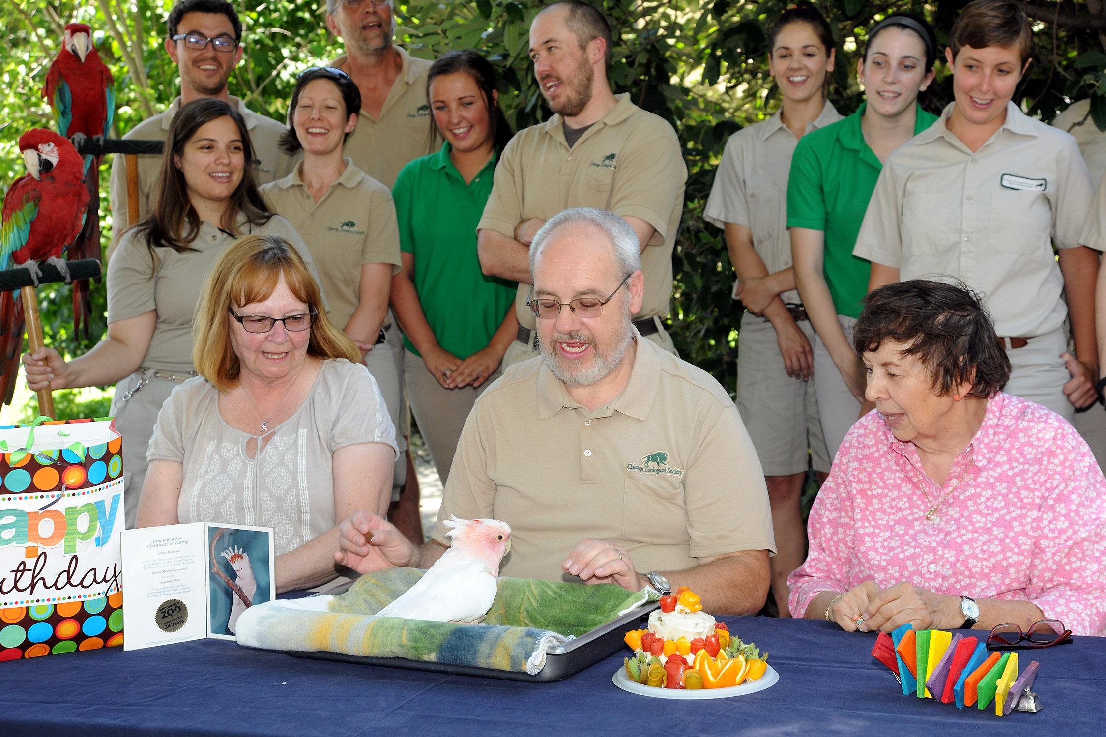 Brookfield Zoo staff celebrate Cookie's 83rd birthday in 2016. (Courtesy Chicago Zoological Society)