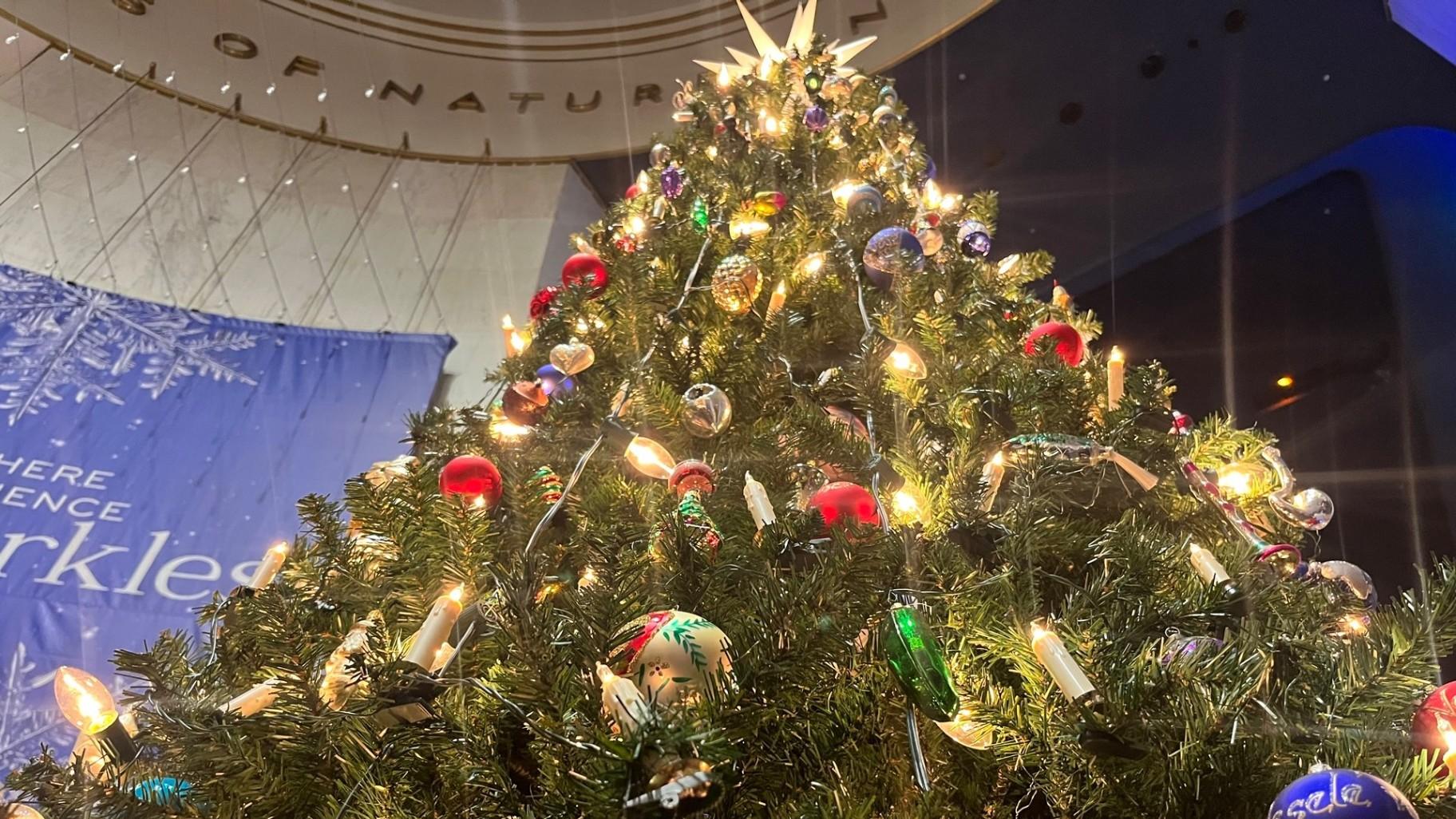 A Christmas tree featuring items celebrating the Czech Republic is displayed on Nov. 11, 2023. (Angel Idowu / WTTW News)
