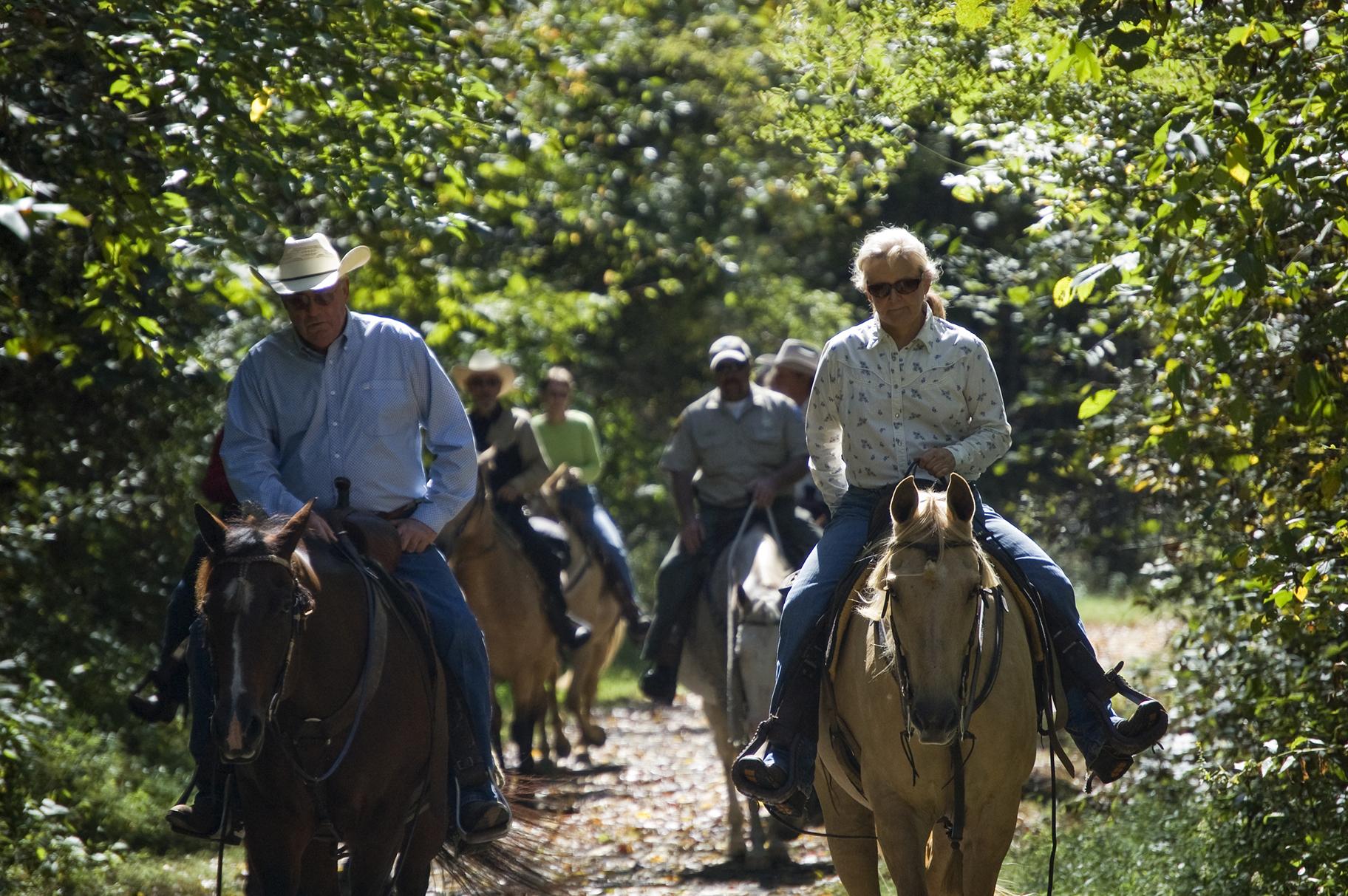 Horseback riding at New River Trail State Park in Virginia (Virginia State Parks / Wikimedia Commons)