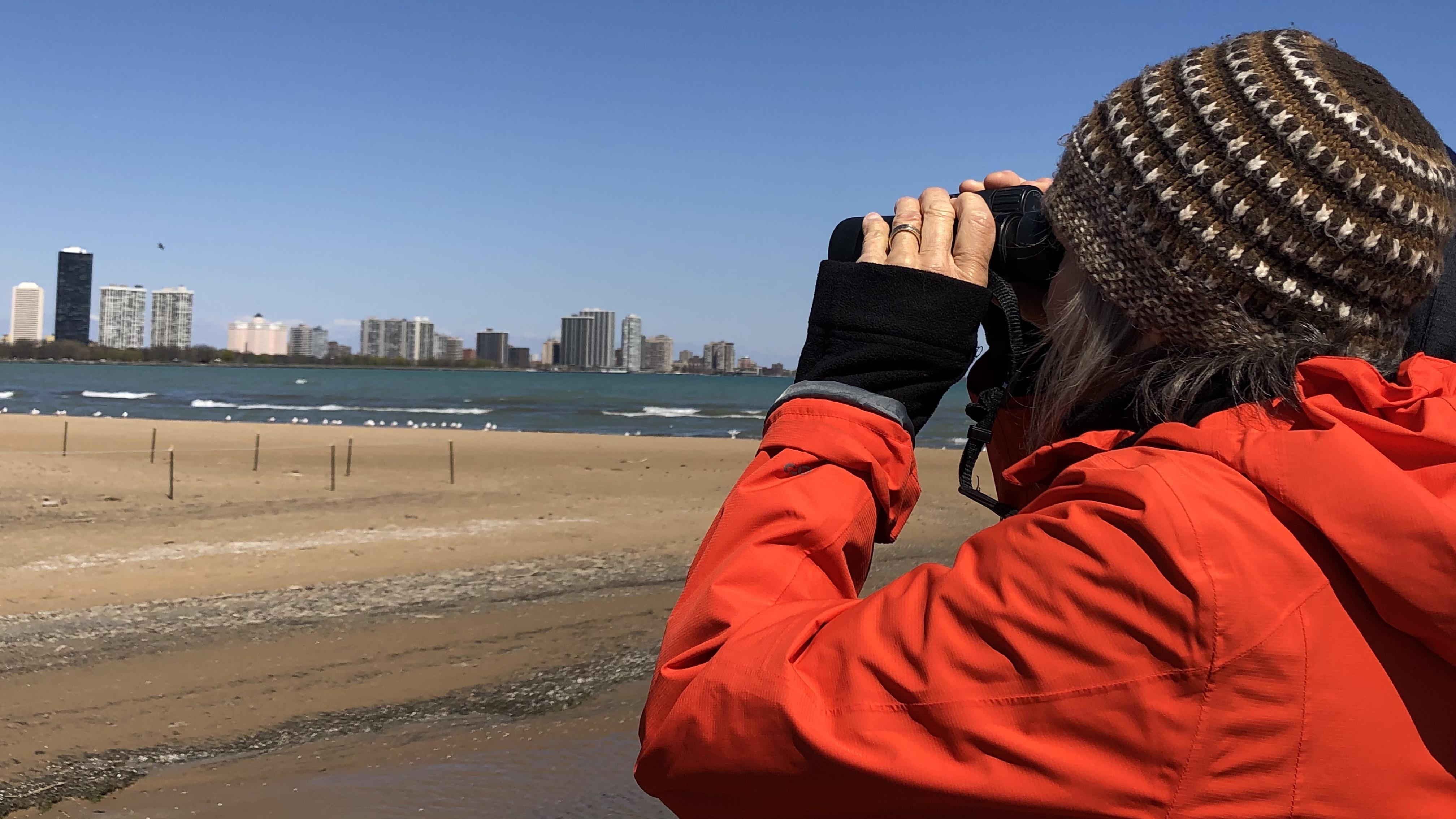 Birders use binoculars to scan for Imani from a safe, non-intrusive distance. (Patty Wetli / WTTW News)