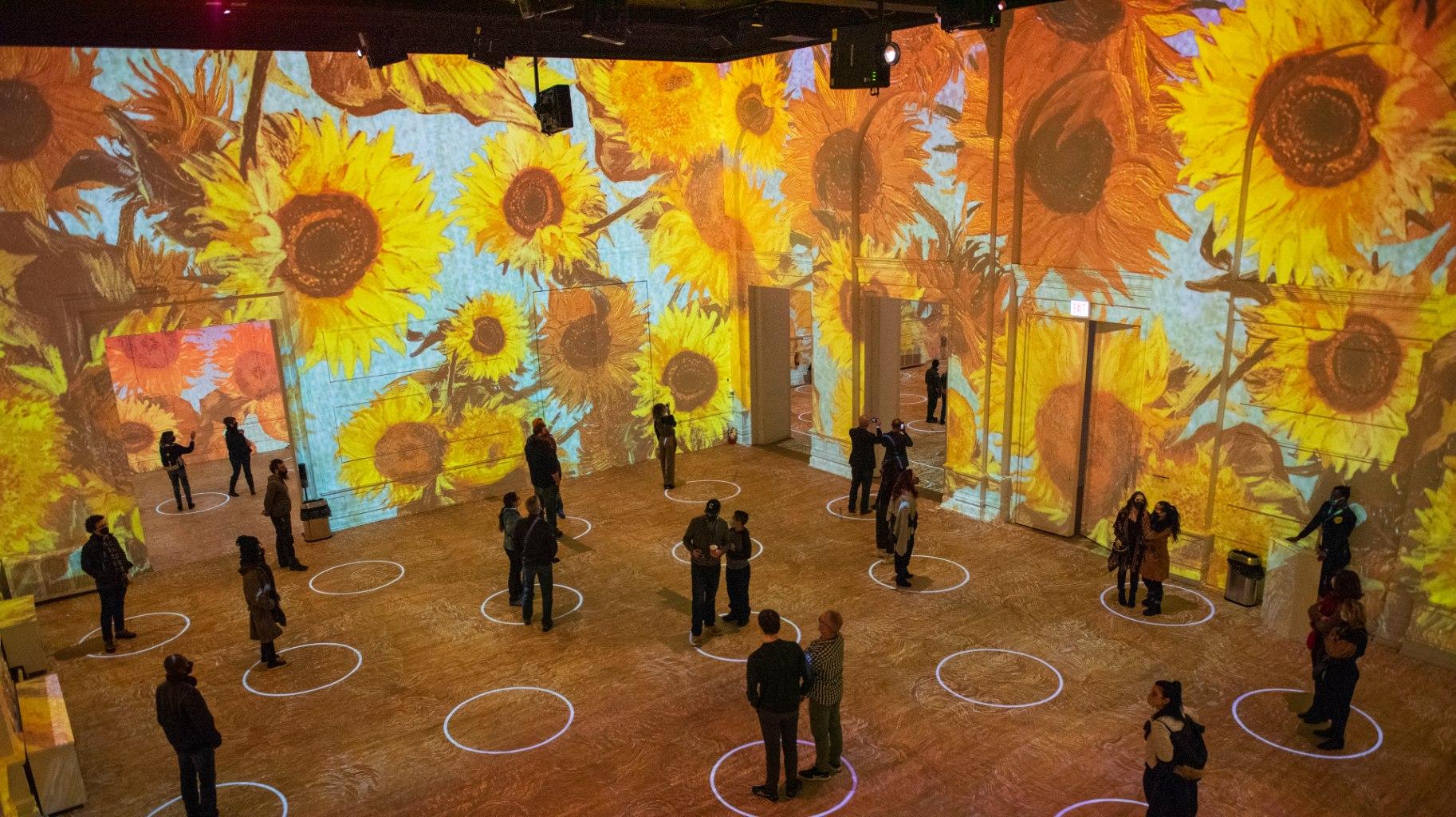 Inside the Immersive Van Gogh exhibit. (Michael Brosilow)