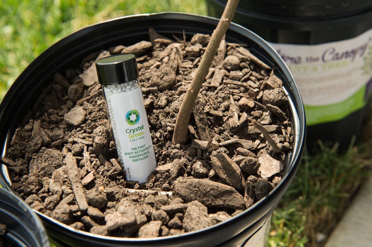 MWRD has created compost products that are planted with oak tree saplings, which help soak up stormwater. (Courtesy Metropolitan Water Reclamation District of Greater Chicago)