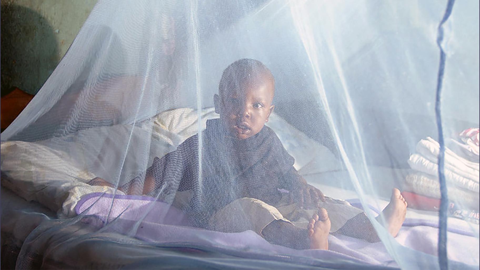 A mosquito net in use to protect against malaria in Kenya (Courtesy of Thomas Omondi / UK Deparment for International Development)