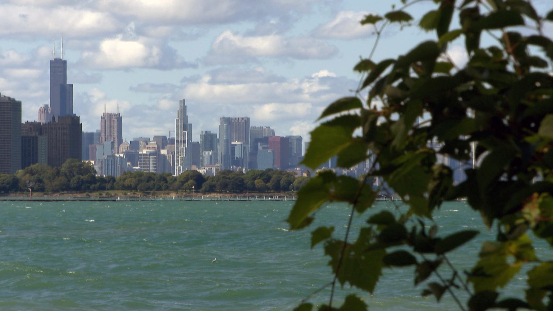 A view of Chicago’s skyline from the South Shore Nature Sanctuary. 