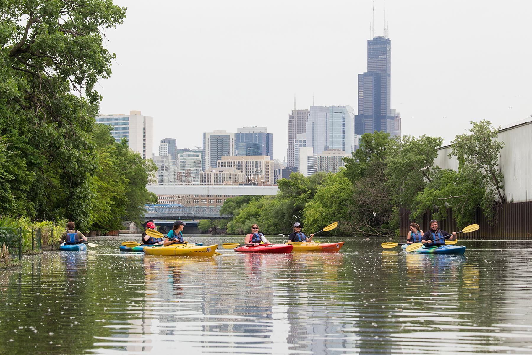 Shedd Aquarium's Kayak for Conservation program aims to introduce residents to the Chicago River ecosystem and the wildlife that call the waters home. (Hilary Wind / Shedd Aquarium)
