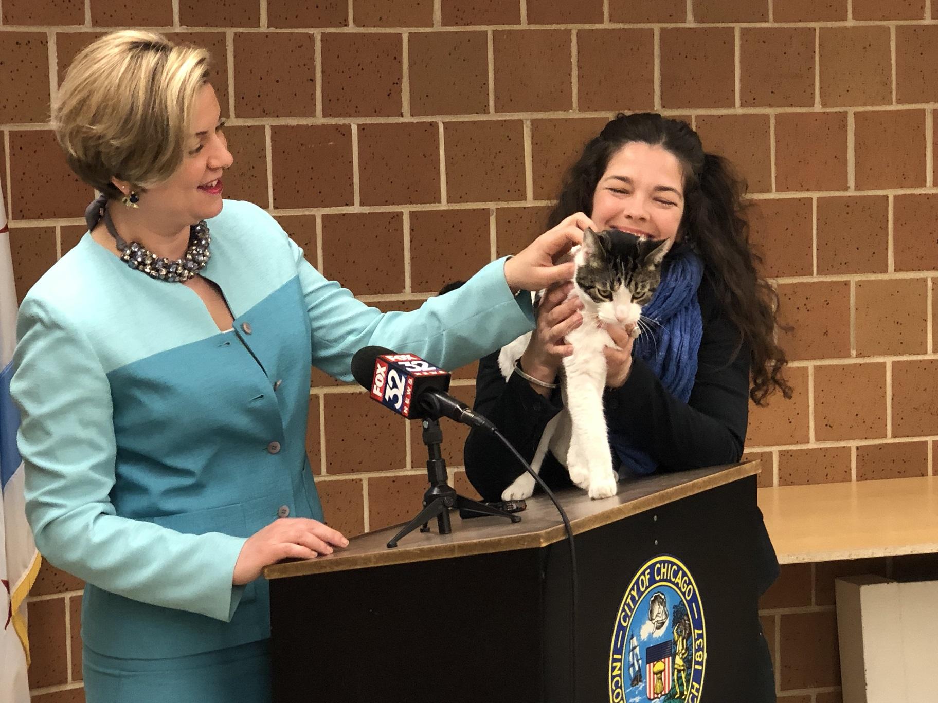 Chicago Animal Care and Control Executive Director Kelley Gandurski, left, and CACC’s Jenny Schlueter with Charlie, a male cat available for adoption. (Alex Ruppenthal / WTTW) 