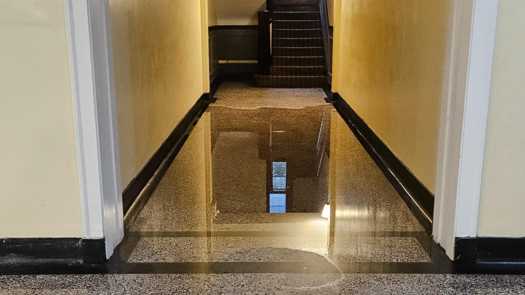 Standing water inside a hallway of the Rogers Park apartment building where residents have formed an tenants association, taken after heavy July rains. (Provided)