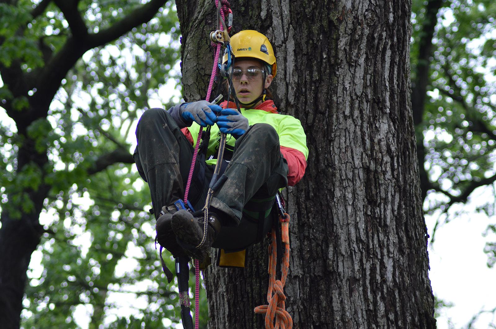Saturday’s tree-climbing event includes a demonstration for kids. (April Toney / Illinois Arborist Association)