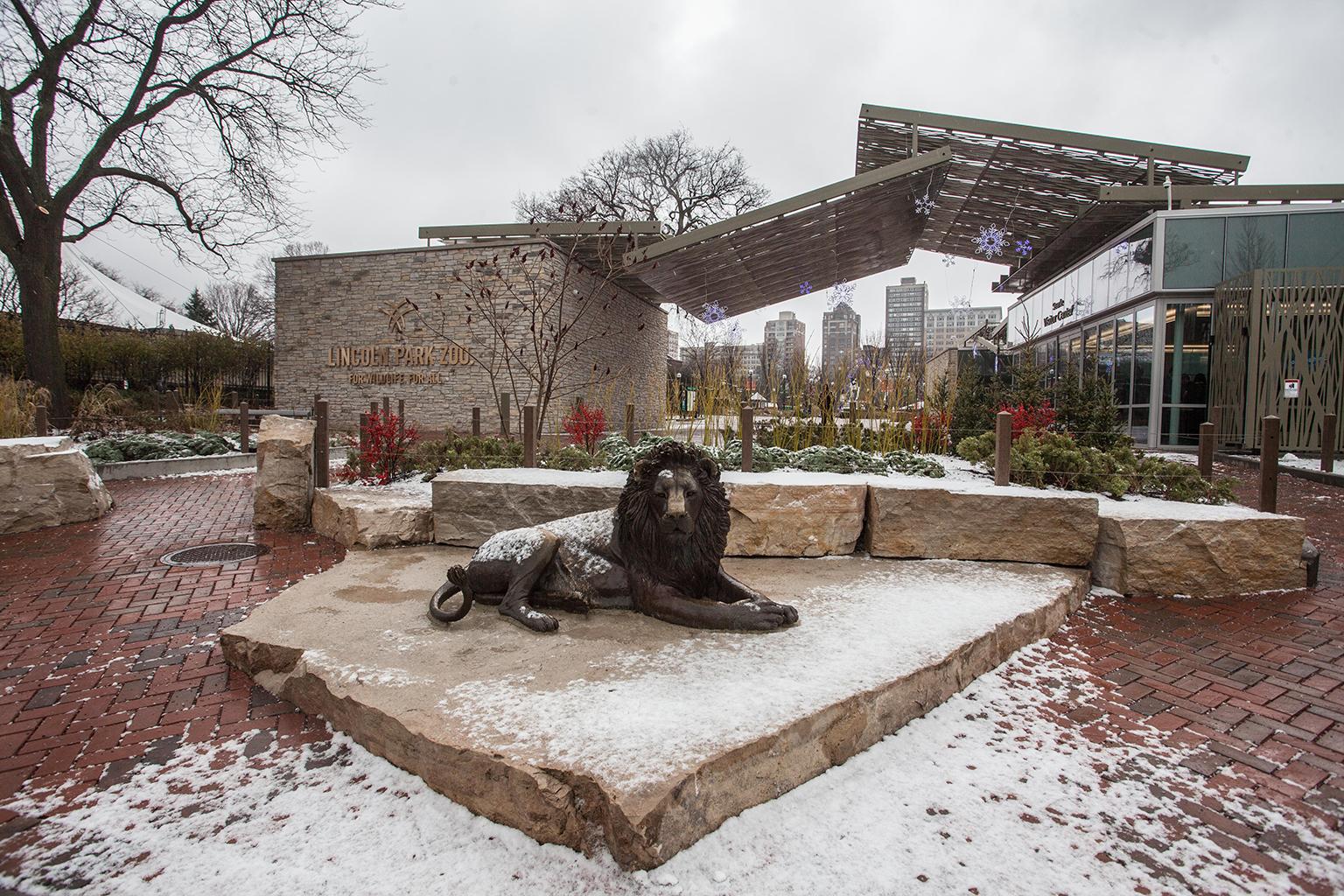 The Adelor lion statue sites outside of Lincoln Park Zoo’s new Searle Visitor Center. (Courtesy Lincoln Park Zoo) 