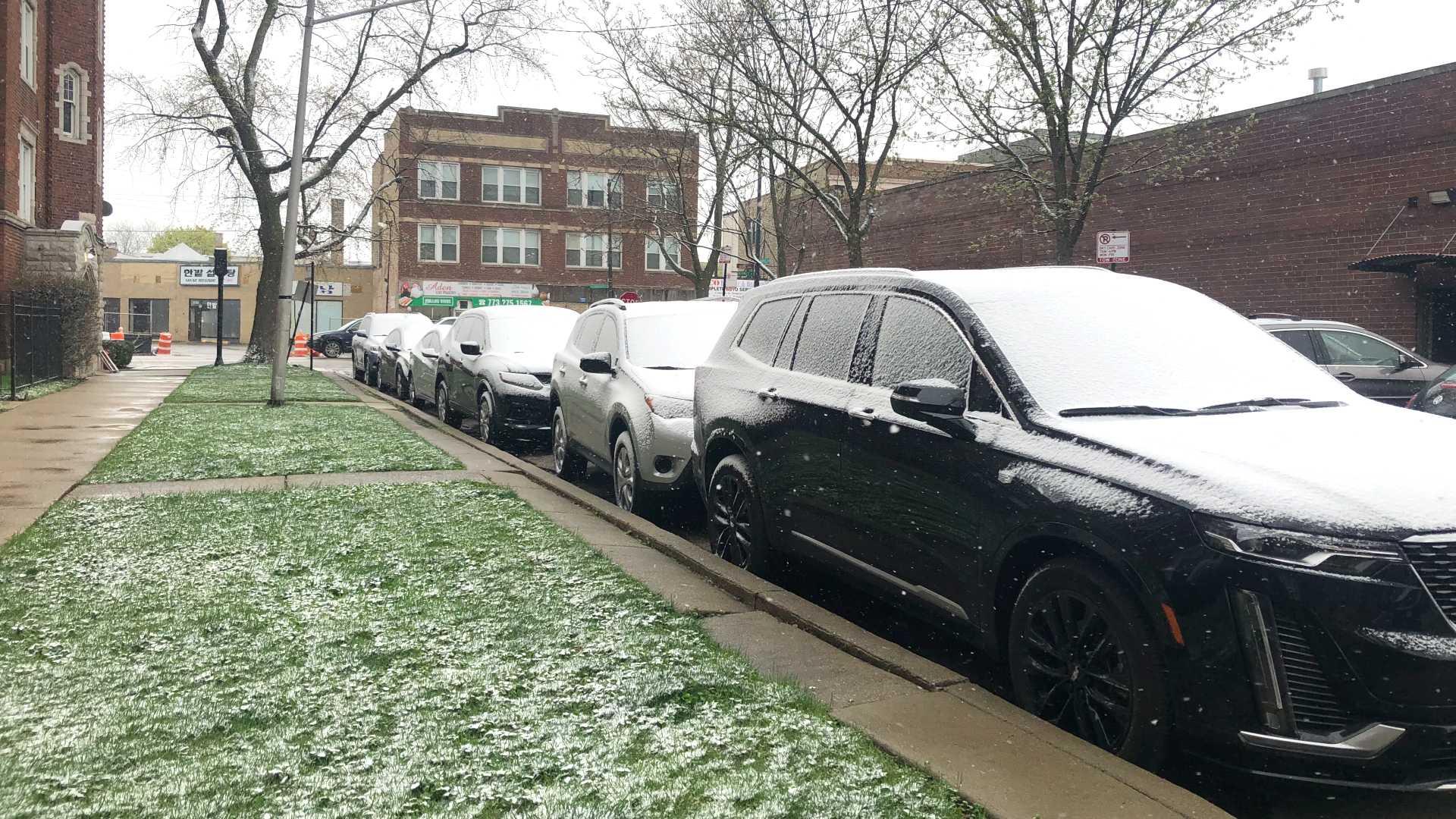 Snow-covered cars, April 17, 2023. (Patty Wetli / WTTW News)