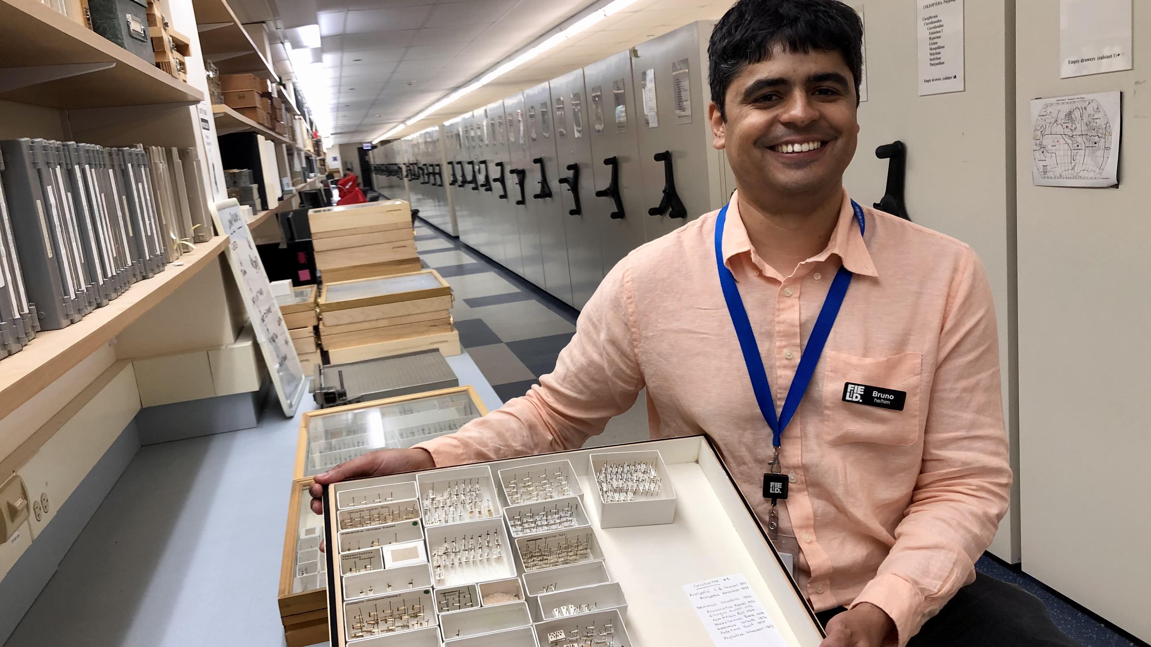 Bruno de Medeiros, assistant curator of insects, with just a handful of the beetles in the Field Museum’s collection. (Patty Wetli / WTTW News)
