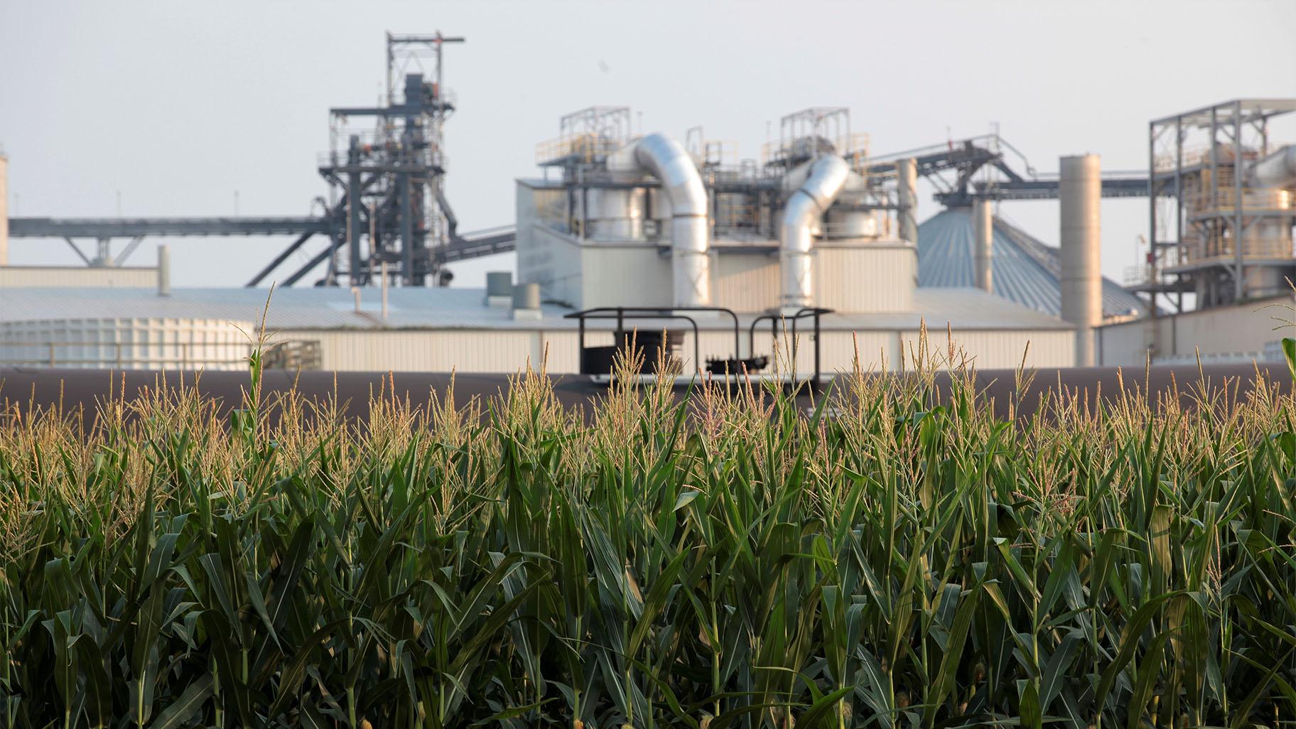 Project developers plan to build carbon capture pipelines connecting dozens of Midwestern ethanol refineries, such as this one in Chancellor, South Dakota, shown on Thursday, July 22, 2021. Corn absorbs the greenhouse gas carbon dioxide, but the process of fermenting it into ethanol releases carbon dioxide emissions. (AP Photo / Stephen Groves)