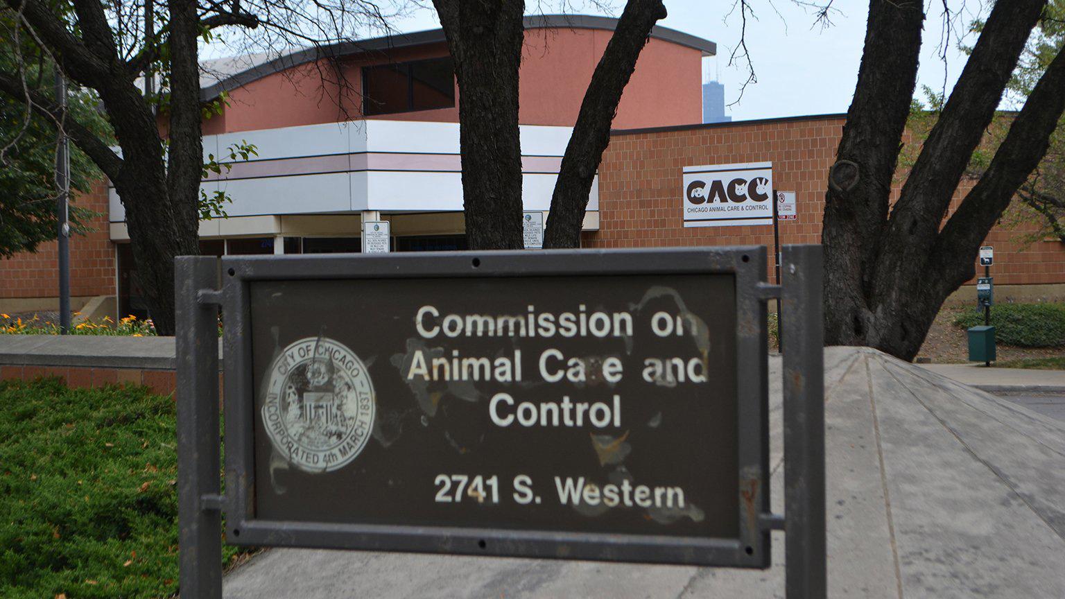 Chicago Animal Care and Control, 2741 S. Western Ave. (WTTW News)