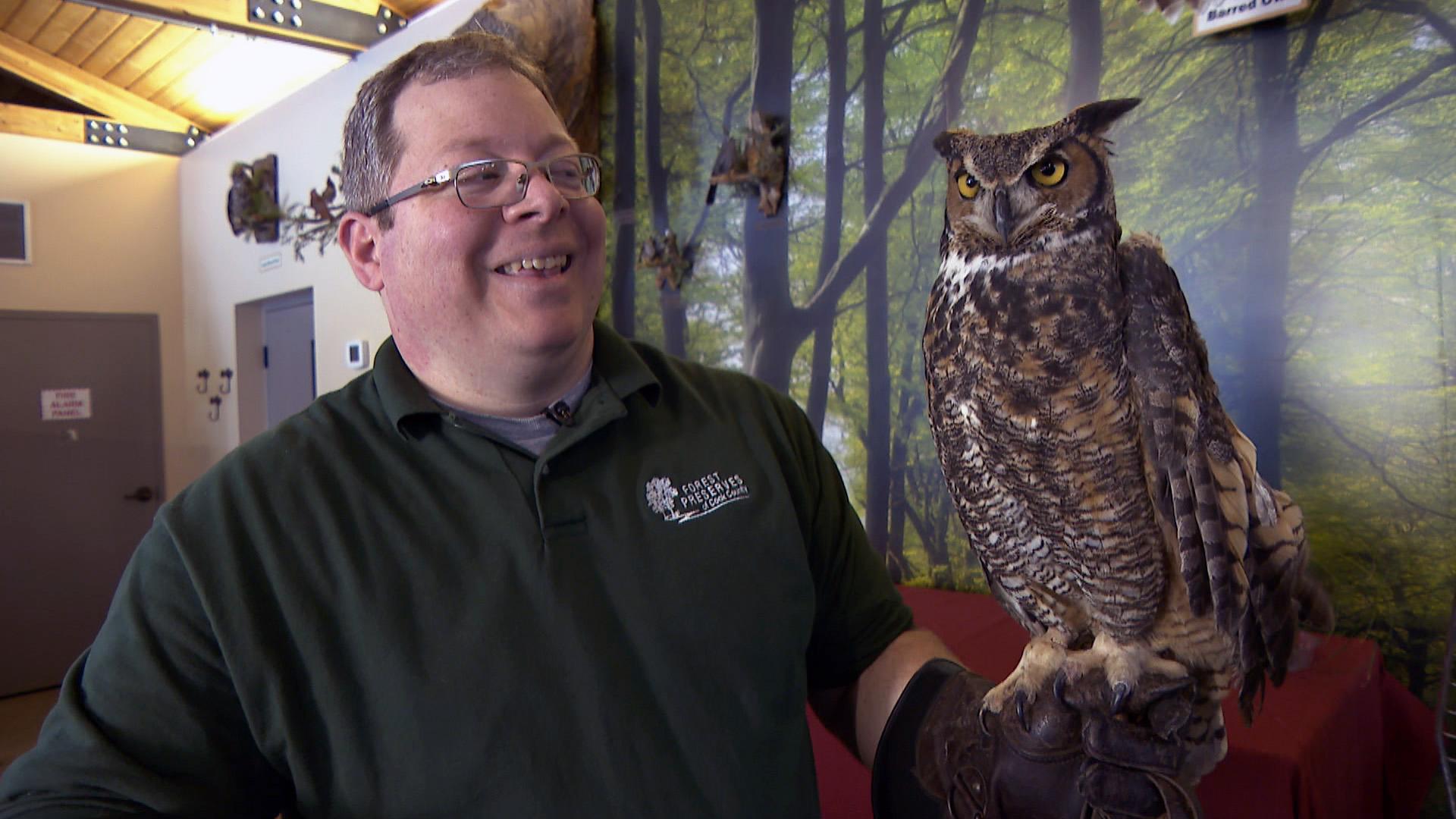 Cook County Forest Preserves naturalist Ryan DePauw holds a great horned owl, the largest owl found in the region, at the River Trail Nature Center on Feb. 18, 2021. (WTTW News)