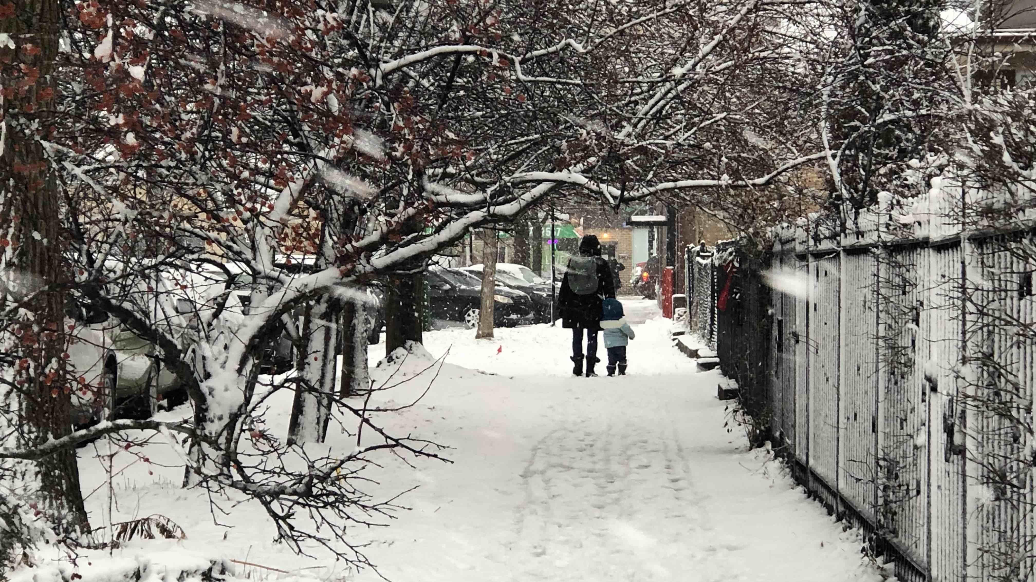 Snow blankets Chicago, Jan. 12, 2024. (Patty Wetli / WTTW News)
