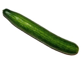persian cucumber