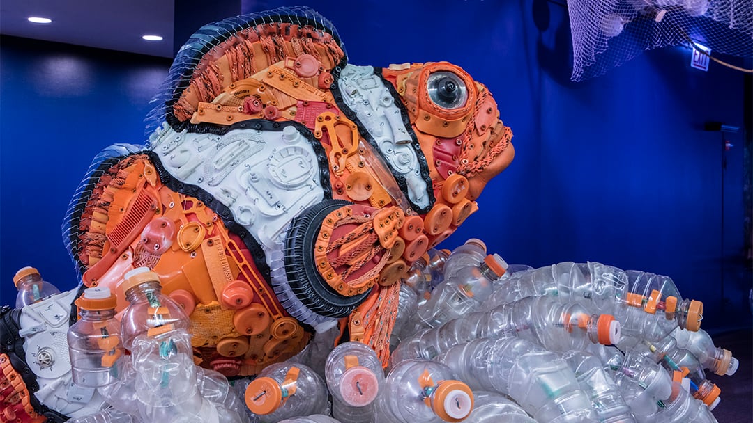 Photos: Shedd Debuts Giant Sea Life Sculptures Made From ...