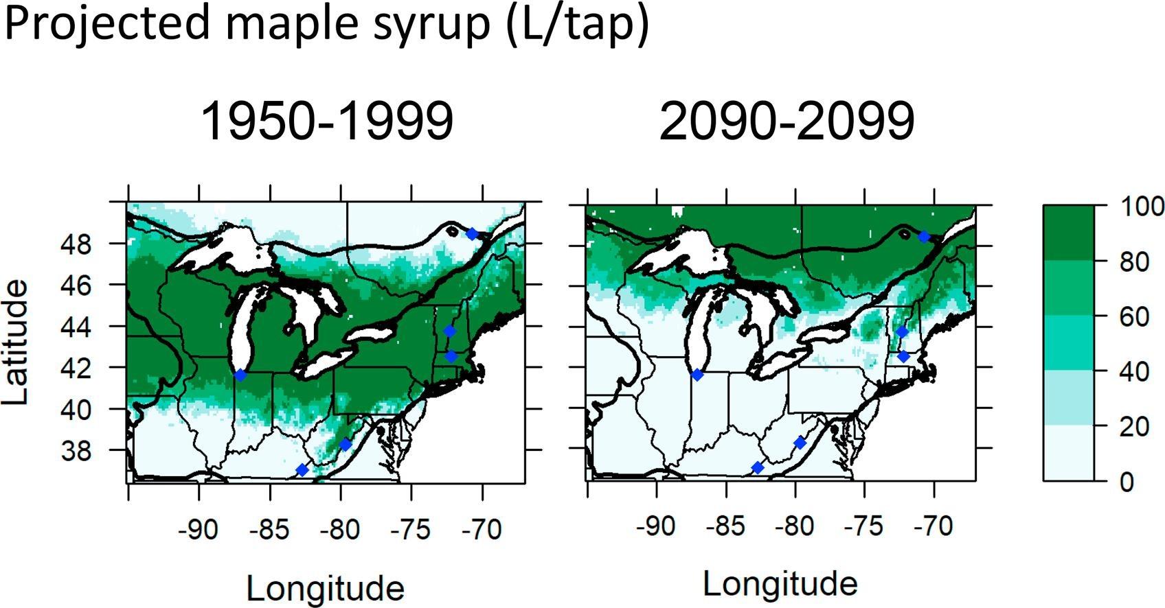 A 2019 study in the journal Forest Ecology and Management shows a steep decrease in maple syrup production for maple trees in the species’ southern North American range, including Illinois, by 2100. (Courtesy Joshua Rapp)