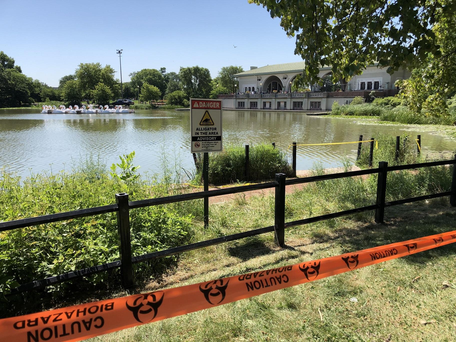 Efforts to capture an alligator in the Humboldt Park Lagoon continued for the fourth day on Friday. (Alex Ruppenthal / WTTW News)
