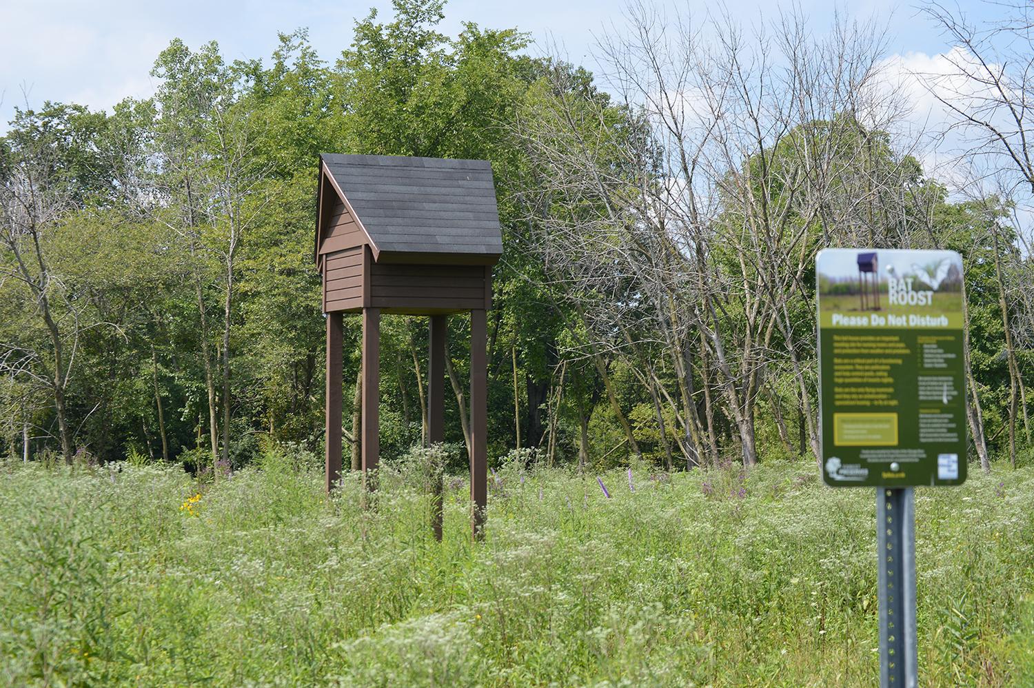 Conservationists have installed six bat houses in Cook County since 2015 to provide safe maternity colonies where female bats can give birth and nurse their pups. (Courtesy Friends of the Chicago River)