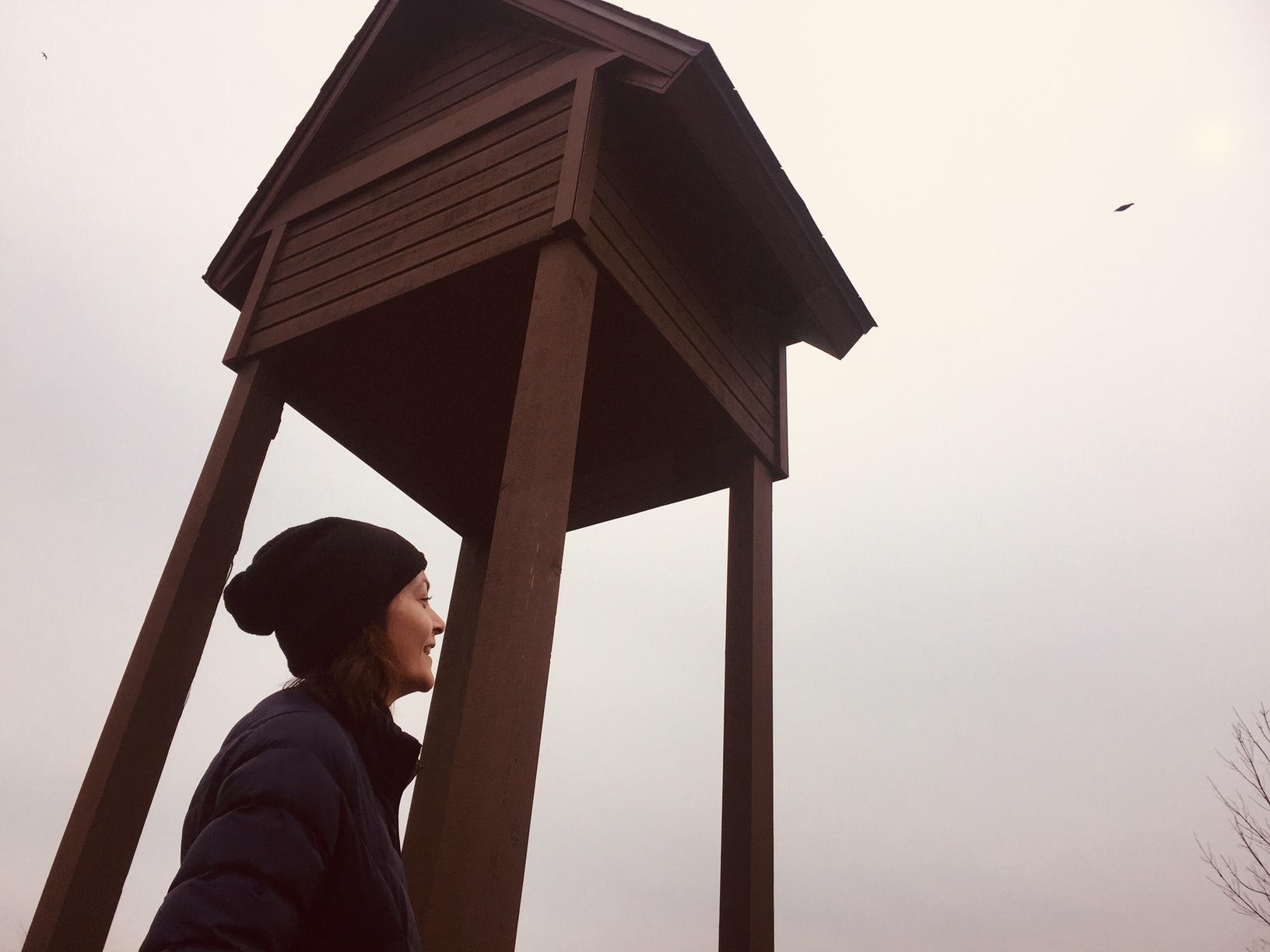 Maggie Jones, conservation programs specialist with Friends of the Chicago River, stands next to a bat house at Kickapoo Woods in south suburban Riverdale. (Courtesy Friends of the Chicago River)