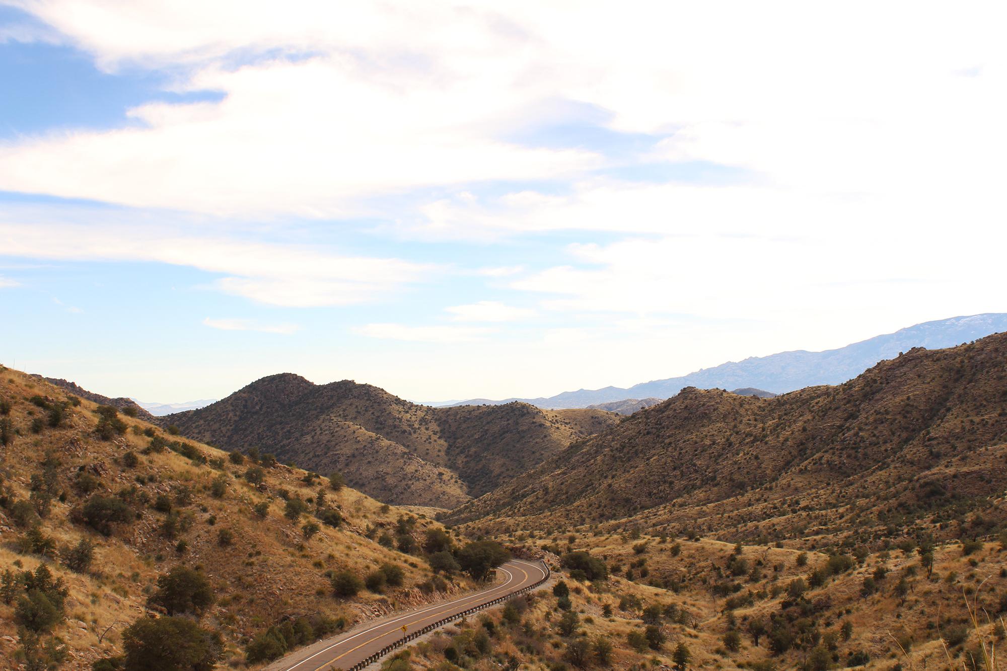 Arizona's Santa Catalina Mountains, where blueberry mason bees thrive (Paul CaraDonna / Northwestern University)