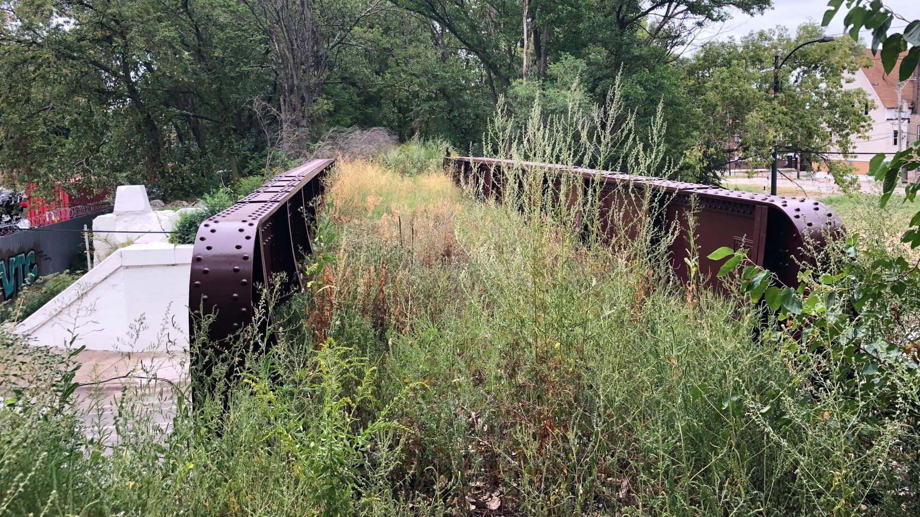 Cities can contribute to 30 by 30 by seizing opportunities to enhance habitat in existing open spaces. The proposed conversion of an abandoned rail line into a nature trail in Englewood is one such example. (Patty Wetli / WTTW News)