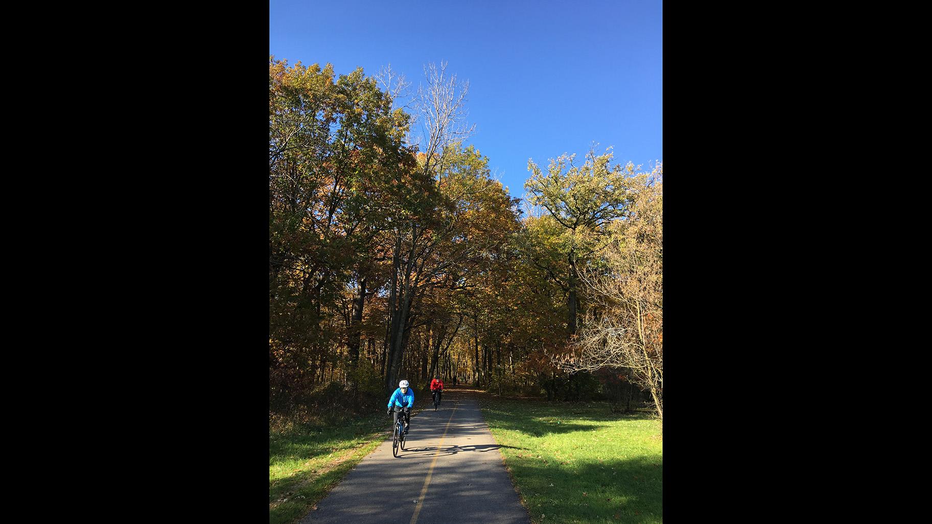 A bike path through Harms Woods (Courtesy Forest Preserve District of Cook County) 