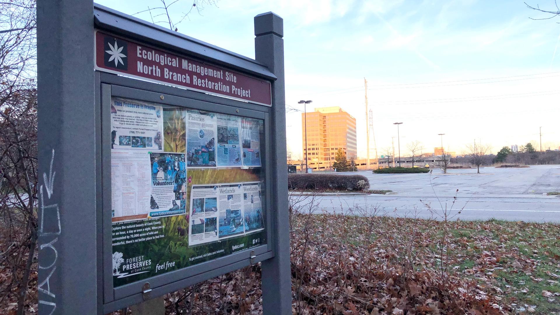 Harms Woods nature preserve sits opposite the proposed site of a Carvana auto vending machine in Skokie. (Patty Wetli / WTTW News)
