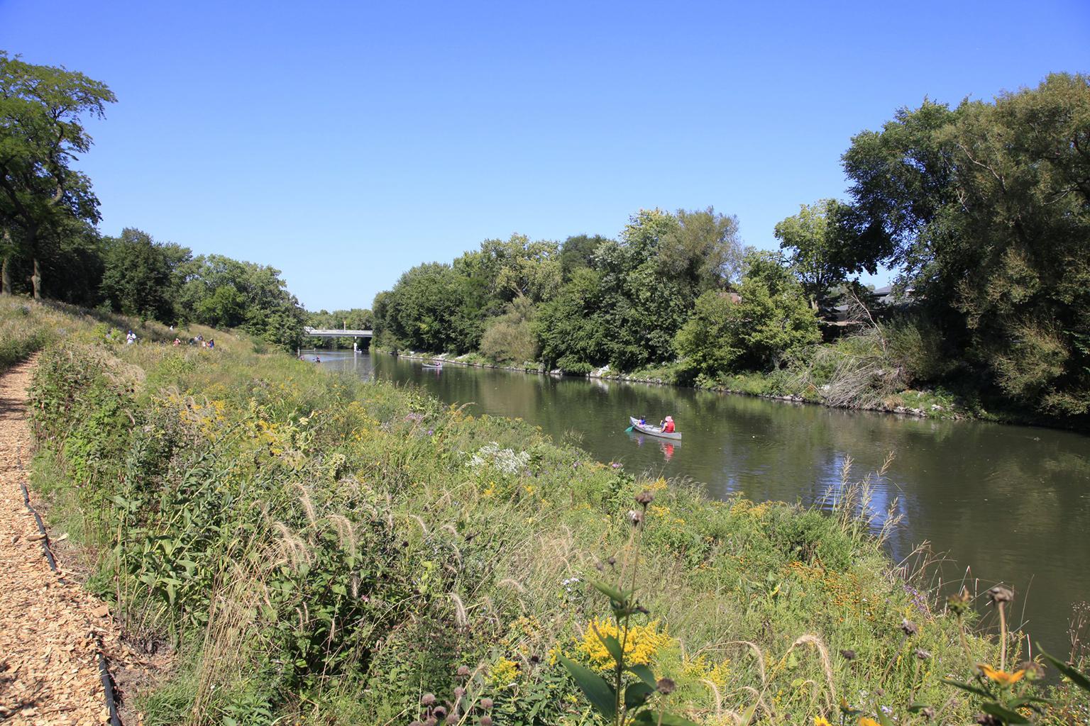 The North Branch of the Chicago River near Montrose Avenue in Horner Park. (Courtesy U.S. Army Corps of Engineers)
