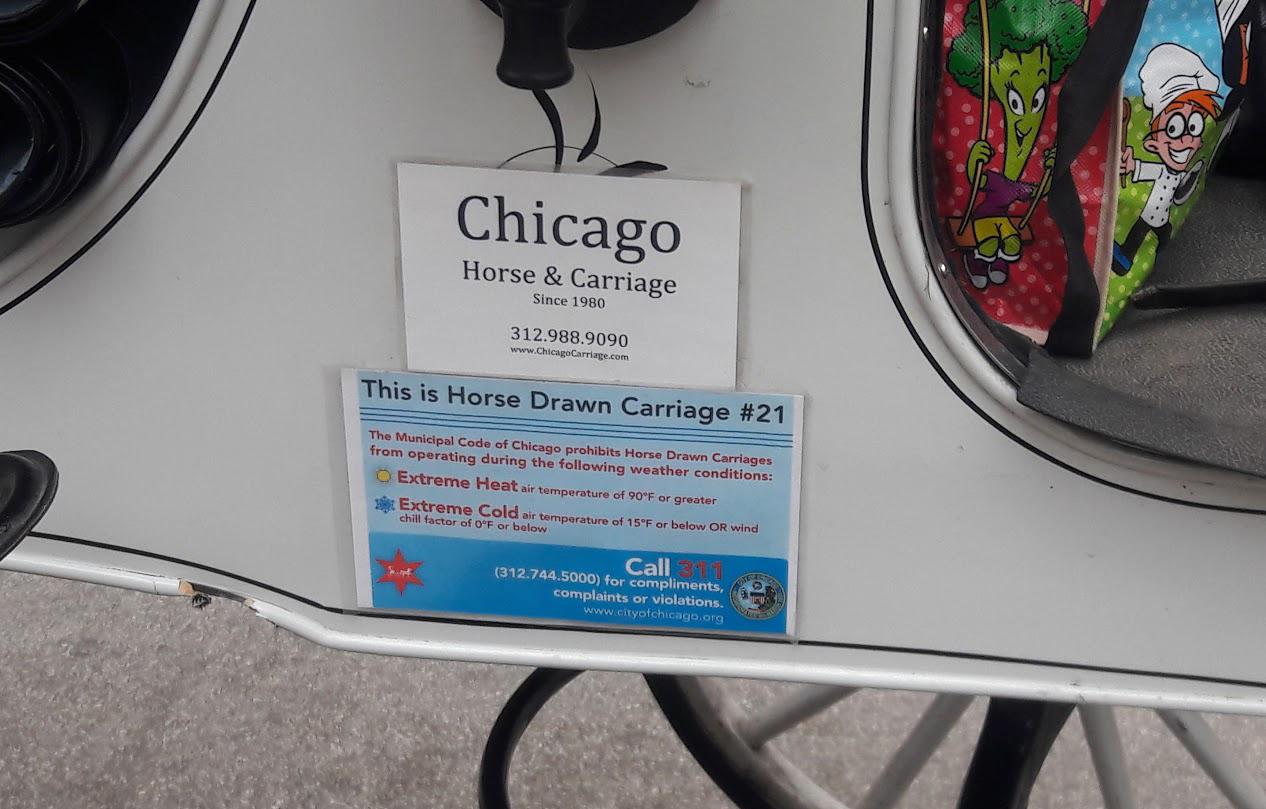 Chicago prohibits horse-drawn carriages from operating when the temperature rises to 90 degrees or drops to 15 degrees. (Courtesy Chicago Alliance for Animals)