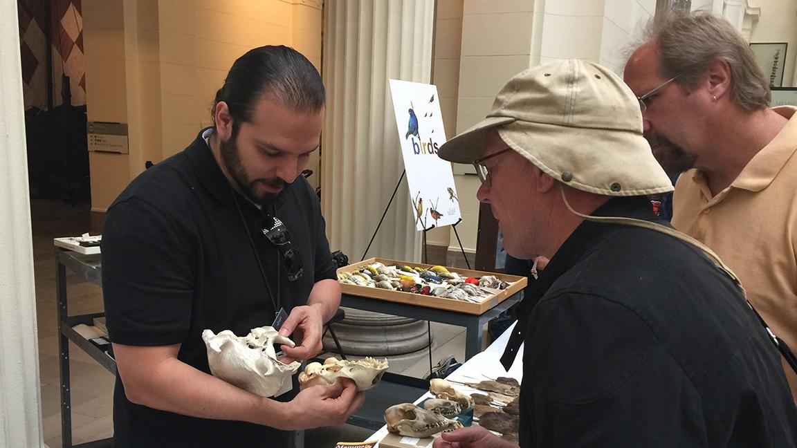 Field Museum research associate Noé de la Sancha shows a mammal skull to visitors at the museum’s Identification Day in 2015. (Courtesy of the Field Museum)