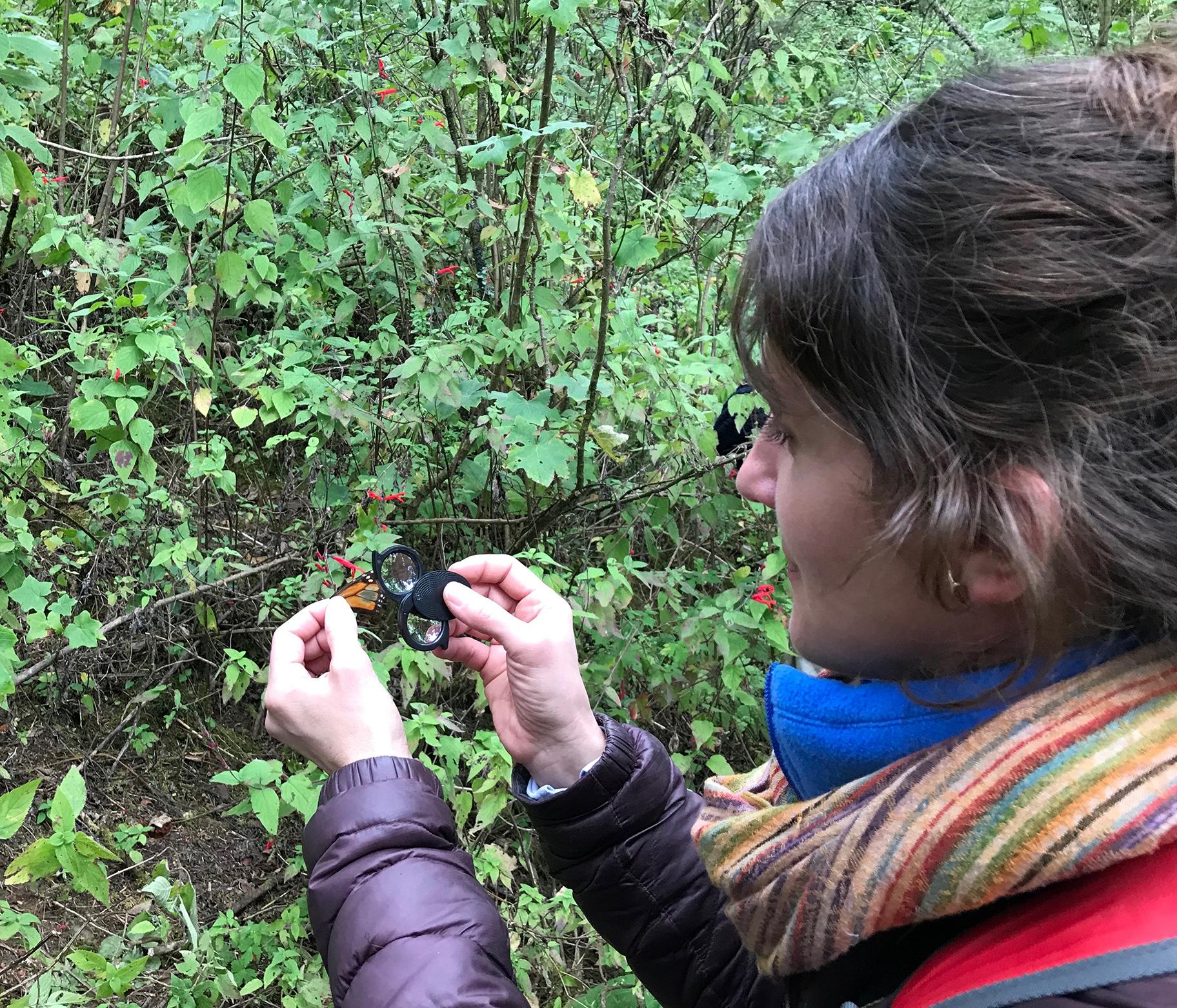 Field Museum senior conservation ecologist Abigail Derby Lewis examines a monarch butterfly. (Courtesy The Field Museum) 