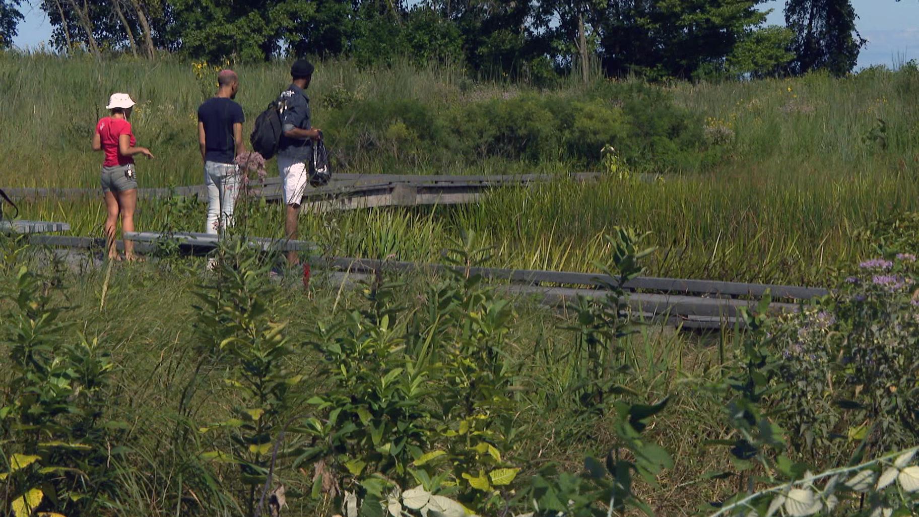 Visitors along the boardwalk of the South Shore Nature Sanctuary. 