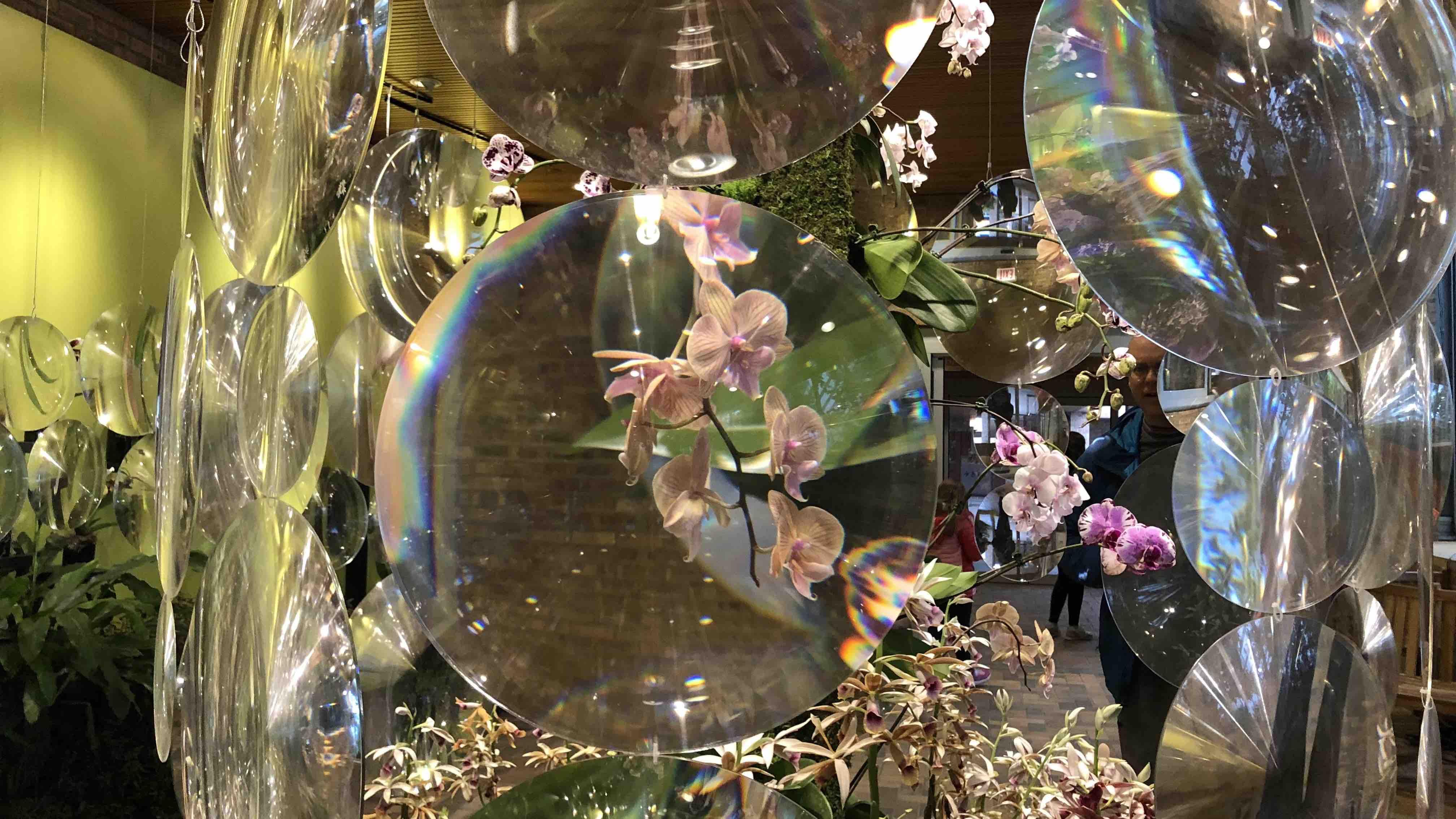 Fresnel lenses, found in lighthouses, are used in the orchid show to magnify the flowers' features. (Patty Wetli / WTTW News)