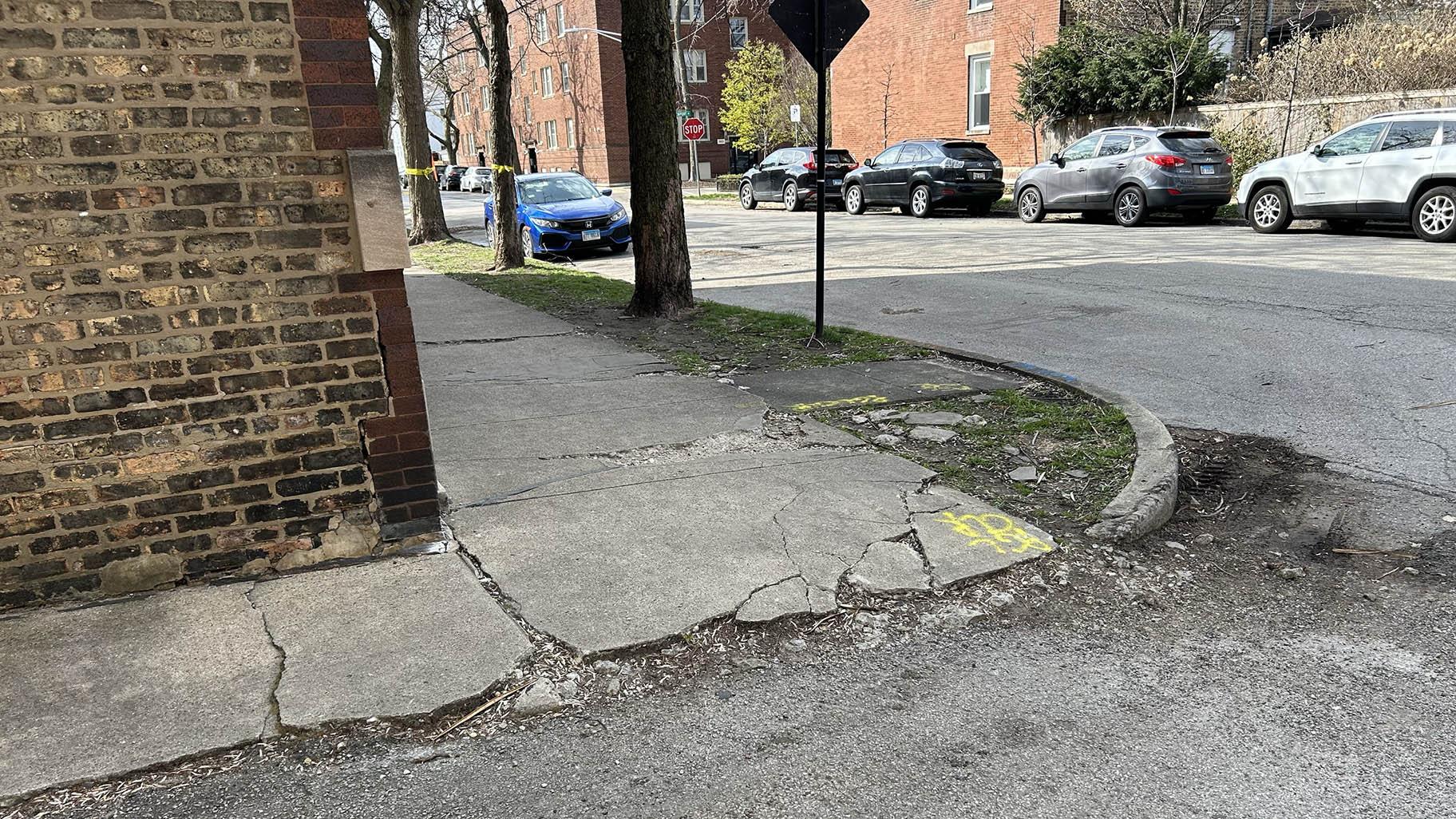 A sidewalk in Roscoe Village on Wolcott Avenue has been the source of 15 inspection requests since 2021. A permit to replace it is in progress as of April 2024. (Jared Rutecki / WTTW News)