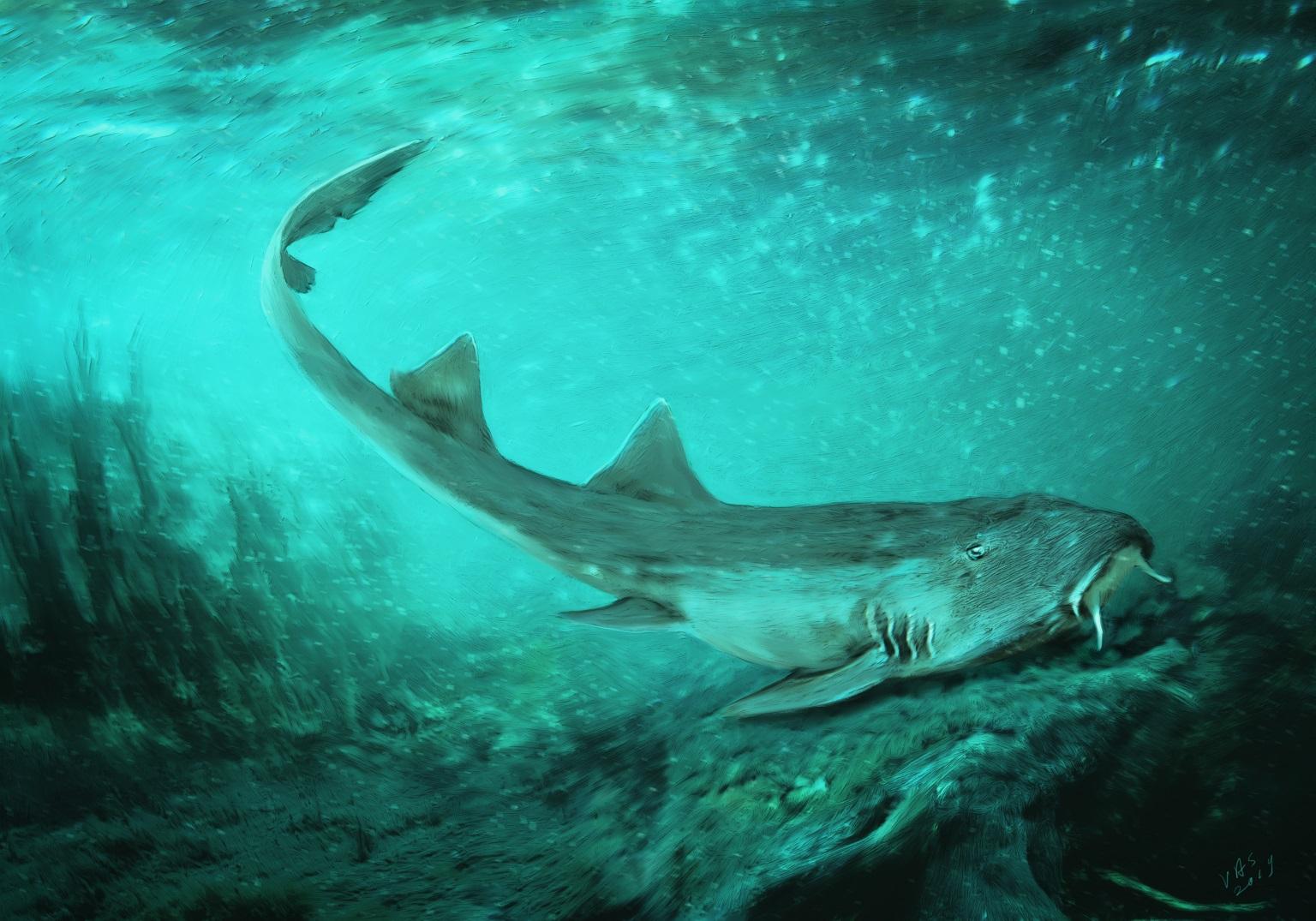 Remains of a freshwater shark with teeth shaped like spaceships from the 1980s video game Galaga was discovered in sediment surrounding Sue the T. Rex’s bones. (Velizar Simeonovski / Field Museum)