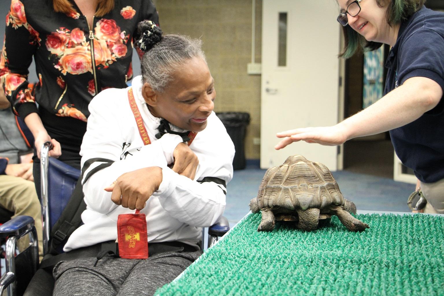 A member of the Envision Unlimited Rose Center, a program for people with intellectual and developmental disabilities, comes face-to-face with a tortoise at Shedd Aquarium. (Em Hall / Envision Unlimited)