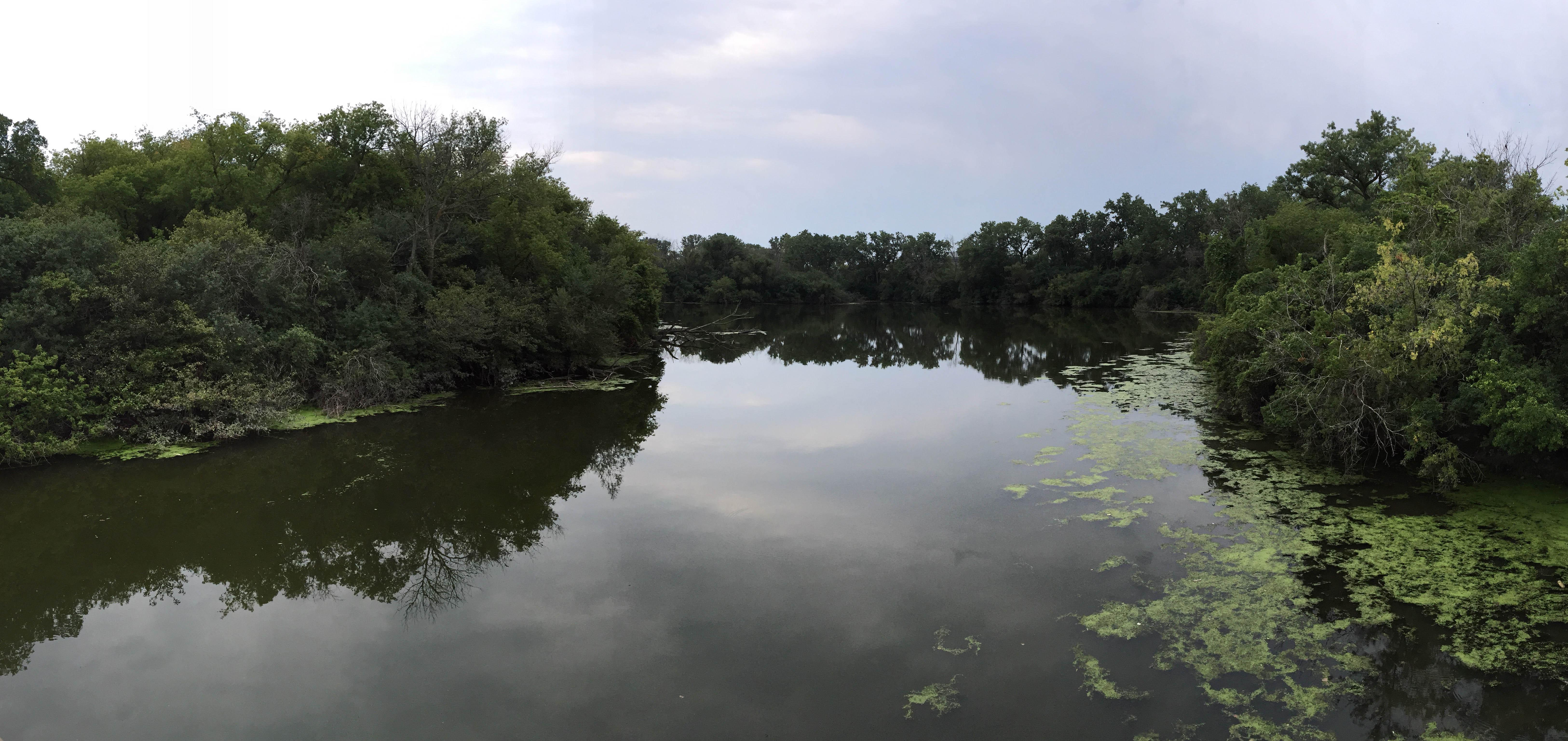 The North Branch Trail system winds along the Chicago River and the Skokie Lagoons. (Evan Garcia / Chicago Tonight)