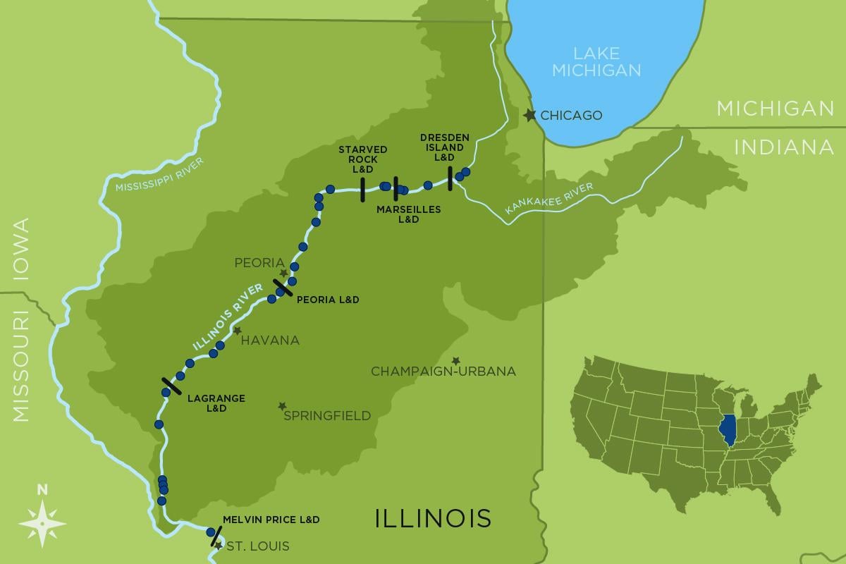 In 1957, scientists set up a series of fish-monitoring stations in the Illinois River. Eventually, stations were added so that sampling extended from near Chicago all the way downstream to the Mississippi River. (Map by Danielle Ruffatto / Illinois Natural History Survey)