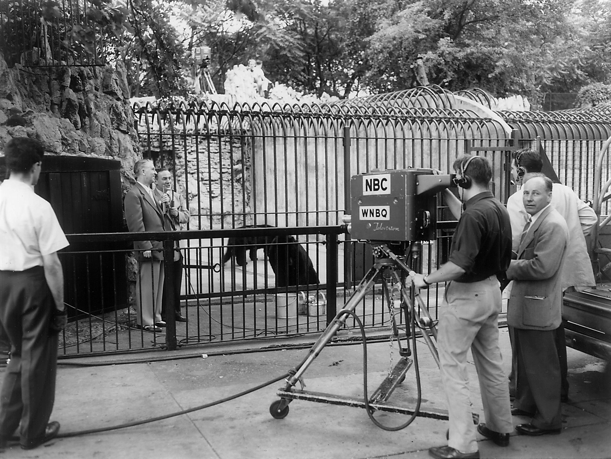 “Zoo Parade” filming in the 1950s: Lincoln Park Zoo Director Marlin Perkins brings wildlife into households with his TV program, “Zoo Parade,” headquartered at Lincoln Park Zoo. (Courtesy Chicago Park District and Chicago History Museum)