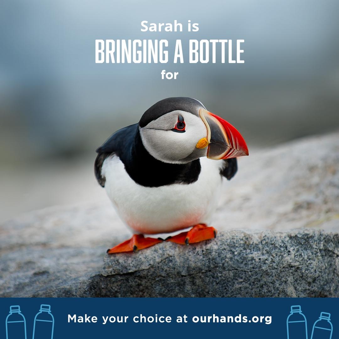 A new effort to reduce pollution encourages consumers to find alternatives to disposable plastic bottles. (Ourhands.org)