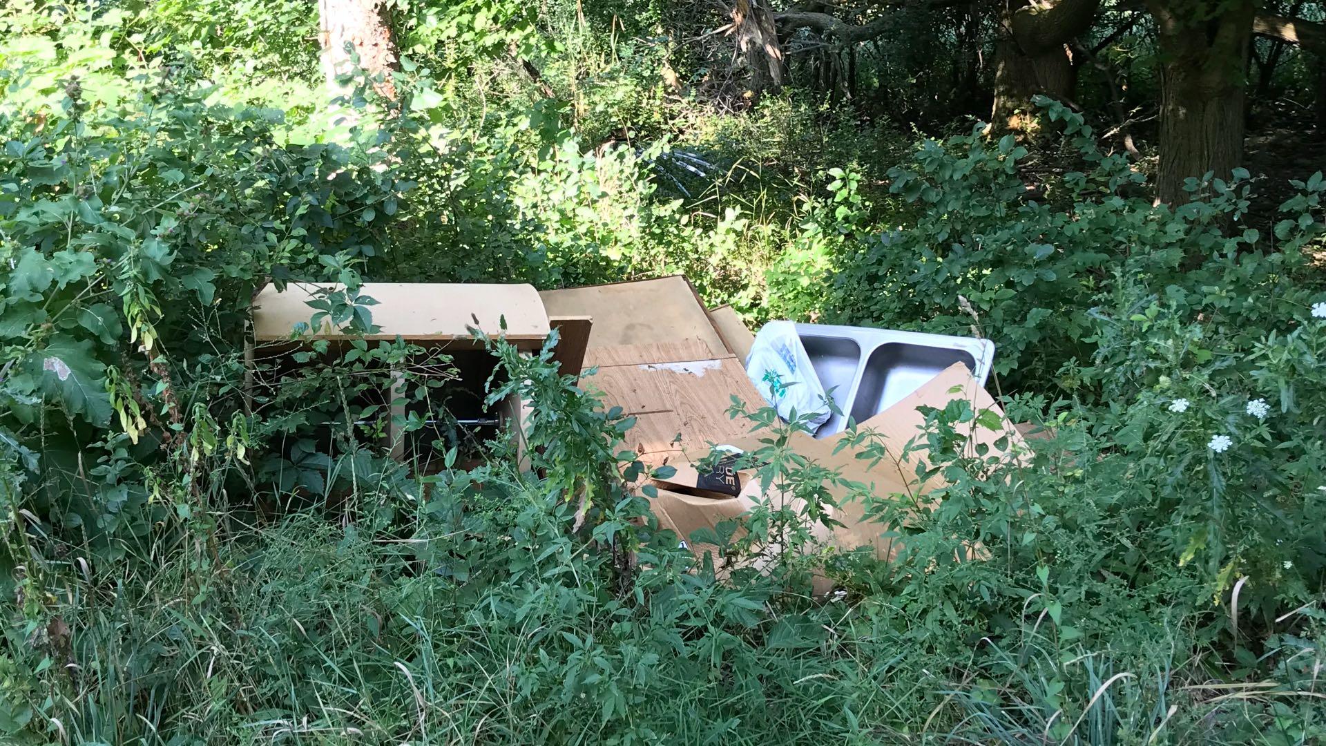 People dump everything, including the kitchen sink, in Cook County's forest preserves. (Courtesy of the Forest Preserve District of Cook County)